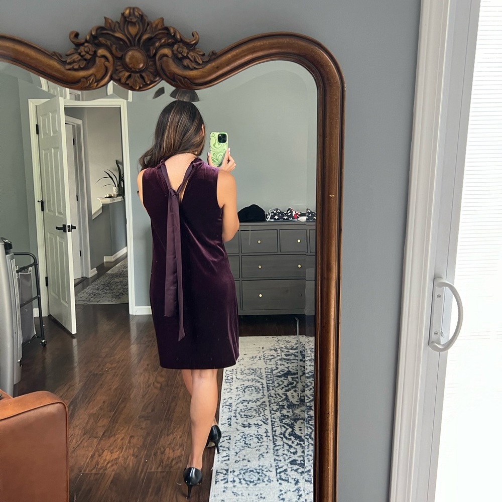 Plum Velvet Dress - Picture 3 of 12